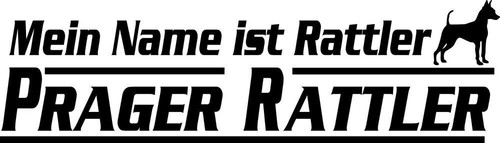 Mein name ist prager - name, ist…