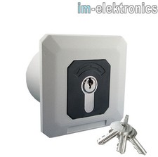 Schlüsseltaster Schlüsselschalter Rolladen Rolladenmotor Rohrmotor Tor Steuerung