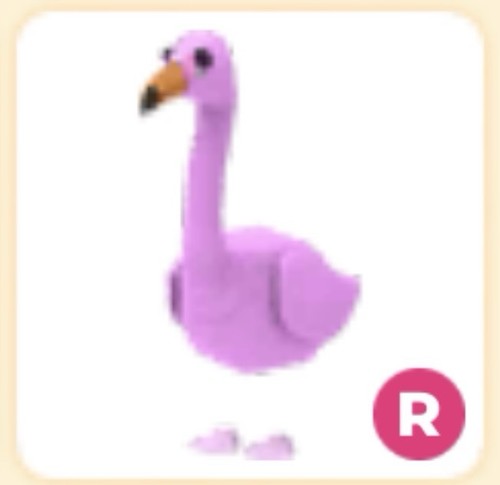 Adopt riding flamingo - adopt,