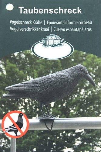 Taubenschreck krähe schwarz - taubenschreck,