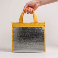 Faltbare Kühltasche Picknicktasche Isoliertasche Thermotasche Isolier Tasche