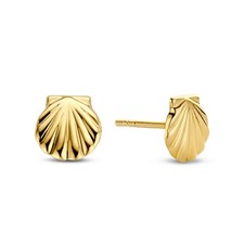 Ohrstecker Muschel aus echt