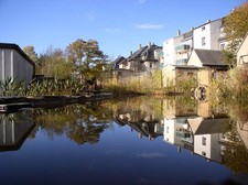 Schwimmteich-Beratung,Teichbau