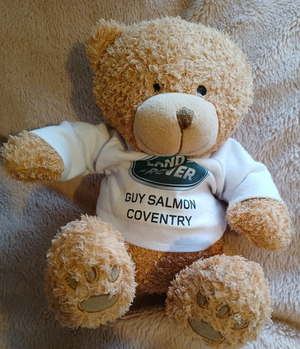 Land rover guy - land, coventry