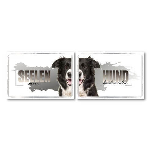 Border collie seelenhund - border,