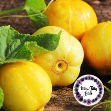 Zitronengurke Gurke CRYSTAL