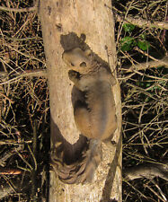 Eichhörnchen zum aufhängen