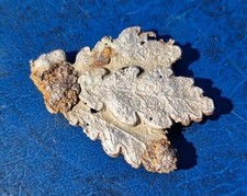 Jägerabzeichen Wehrmacht Mützenabzeichen für Angehörige einer Jägerdivision WH