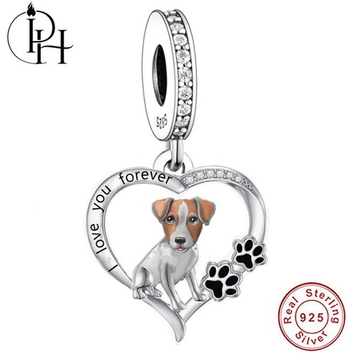 Jack russell terrier - russell, hund