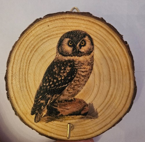 Rustikales uhu wandbild - rustikales,