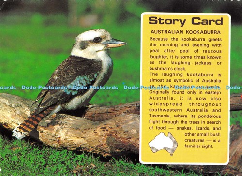 D006341 australischer - d006341,