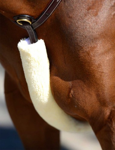 Kentucky horsewear - kentucky,