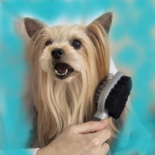 Furminator Doppelpflegebürste
