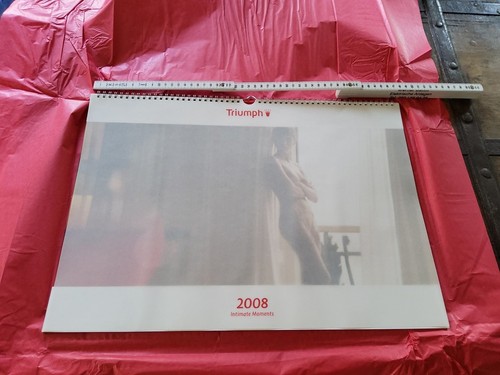 Triumph 2008 wandkalender - -,