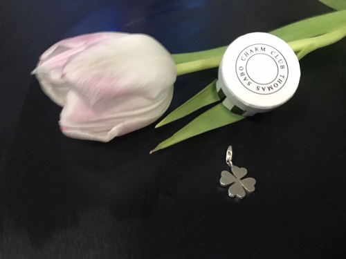 Thomas sabo charm anhänger - charm,