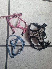 Set: 2x Hundegeschirr AniOne &