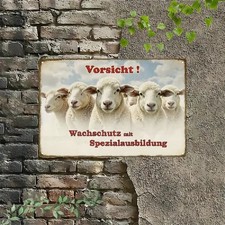 Blechschild Schafe Schaf Herde