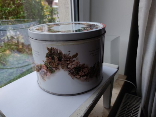 Flowering denmark blechdose - flowering,