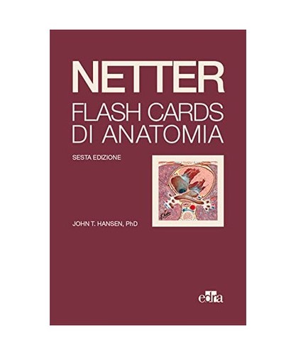 Netter flash cards - flash,