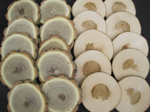 Bastelset holzscheibe akazie - ,