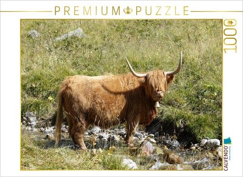 Calvendo puzzle scottish - puzzle,