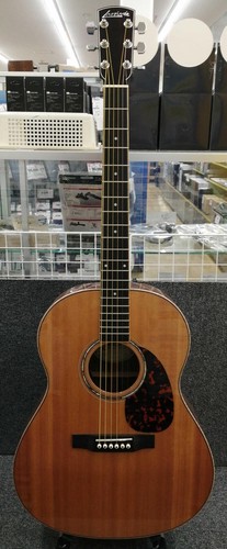 Larrivee akustikgitarre 09 - akustikgitarre, l-09