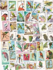 50 verschiedene Briefmarken Papageien + Sittiche , Sittich , Parots