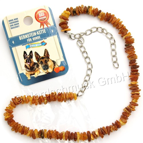 Bernsteinkette hund bernstein - bernsteinkette,