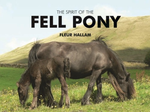 The spirit - the, of