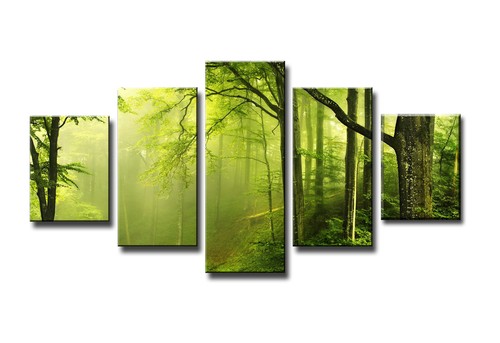 Bild tlg wald visario - tlg,