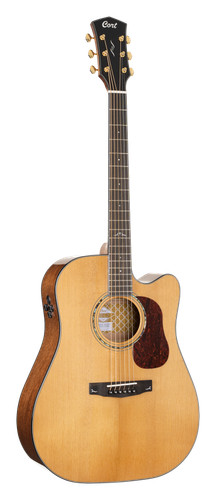 Cort gold dc6 westerngitarre - gold,
