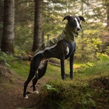 Sofshelljacke windhund - sofshelljacke,