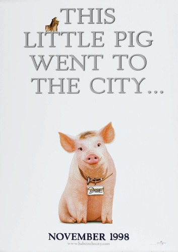 Baby schwein der - schwein, stadt