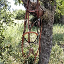 Rick Weizen Nouvel Halfter