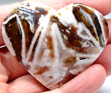 ACHAT DRACHENACHAT mit