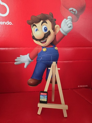 Paw patrol world nintendo - paw,