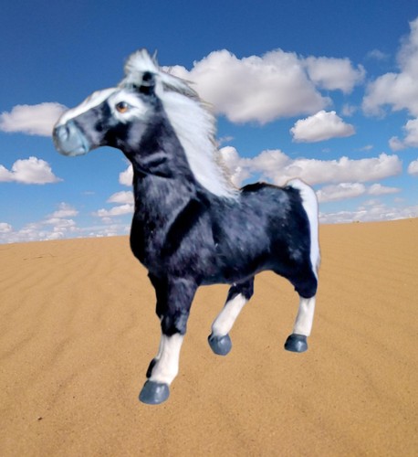 Schwarzes pferd mit - schwarzes, weißer