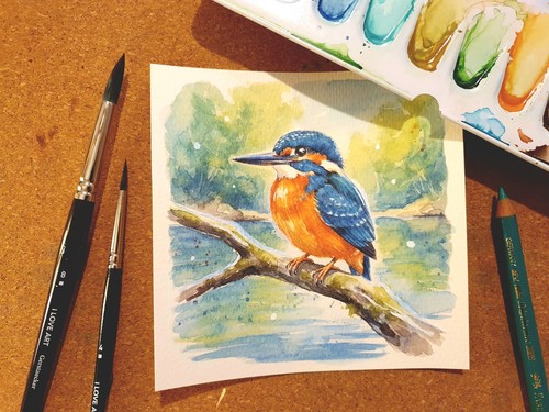 Aquarell eisvogel - aquarell,