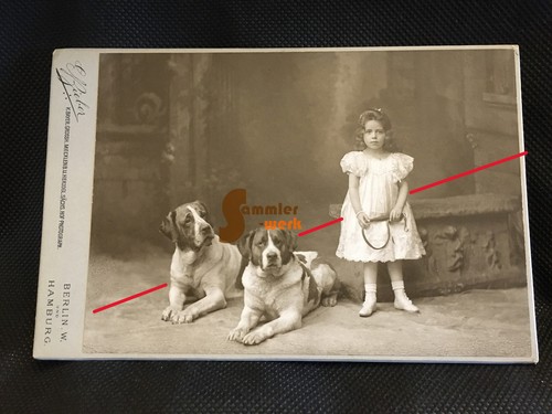 Traumhaftes altes kabinettfoto - traumhaftes,