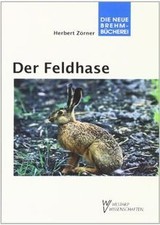 Feldhase lepus europaeus - lepus,