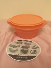 Tupperware Mini Max