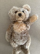Großer Steiff Zotty Teddybär