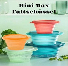 Tupperware Mini Max