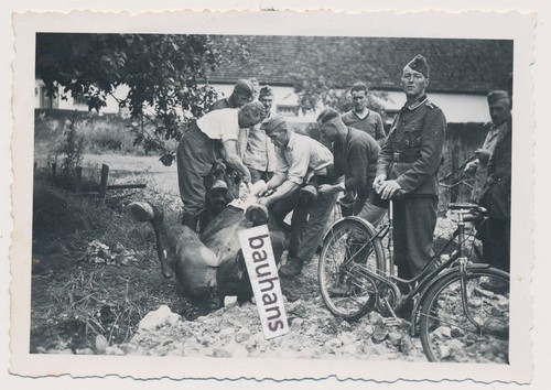 Foto frankreich elsass - foto,