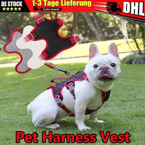 Hundegeschirr brustgeschirr - hundegeschirr,