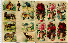 Konvolut Oblaten Tiere Blumen etwa 1895