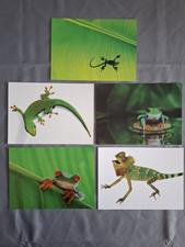 5 Karten/Bilder 13x18 Ikea