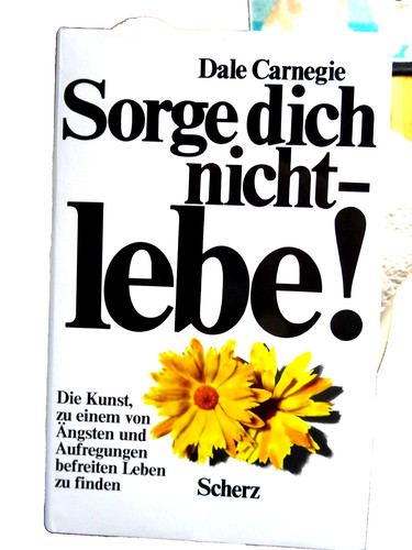 Dale carnegie sorge dich nicht - sorge,