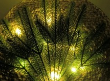 10 Stück Deko Tannenzweige