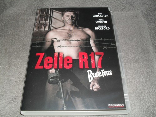 Zelle r17 brute - /,